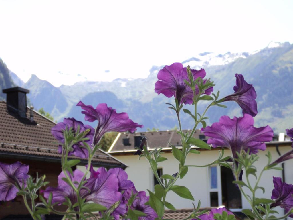 Apartmenthaus Gotthardt Kaprun Rom bilde